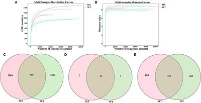 Gut fungal community composition analysis of myostatin mutant cattle prepared by CRISPR/Cas9